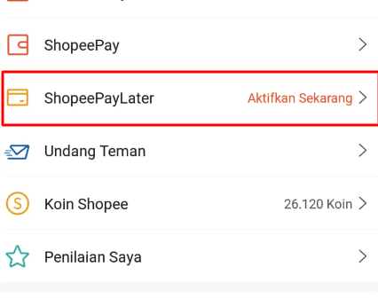 Mengatasi Shopee PayLater Tidak Bisa Digunakan